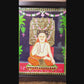 Ragavendra Tanjore Painting For Puja Room